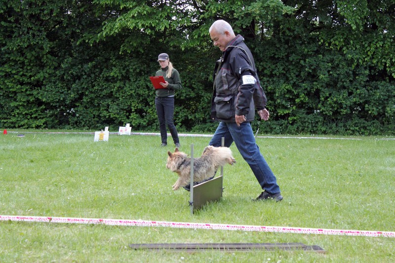 Se i stor (åbner i nyt vindue) /images/2012/4.jpg